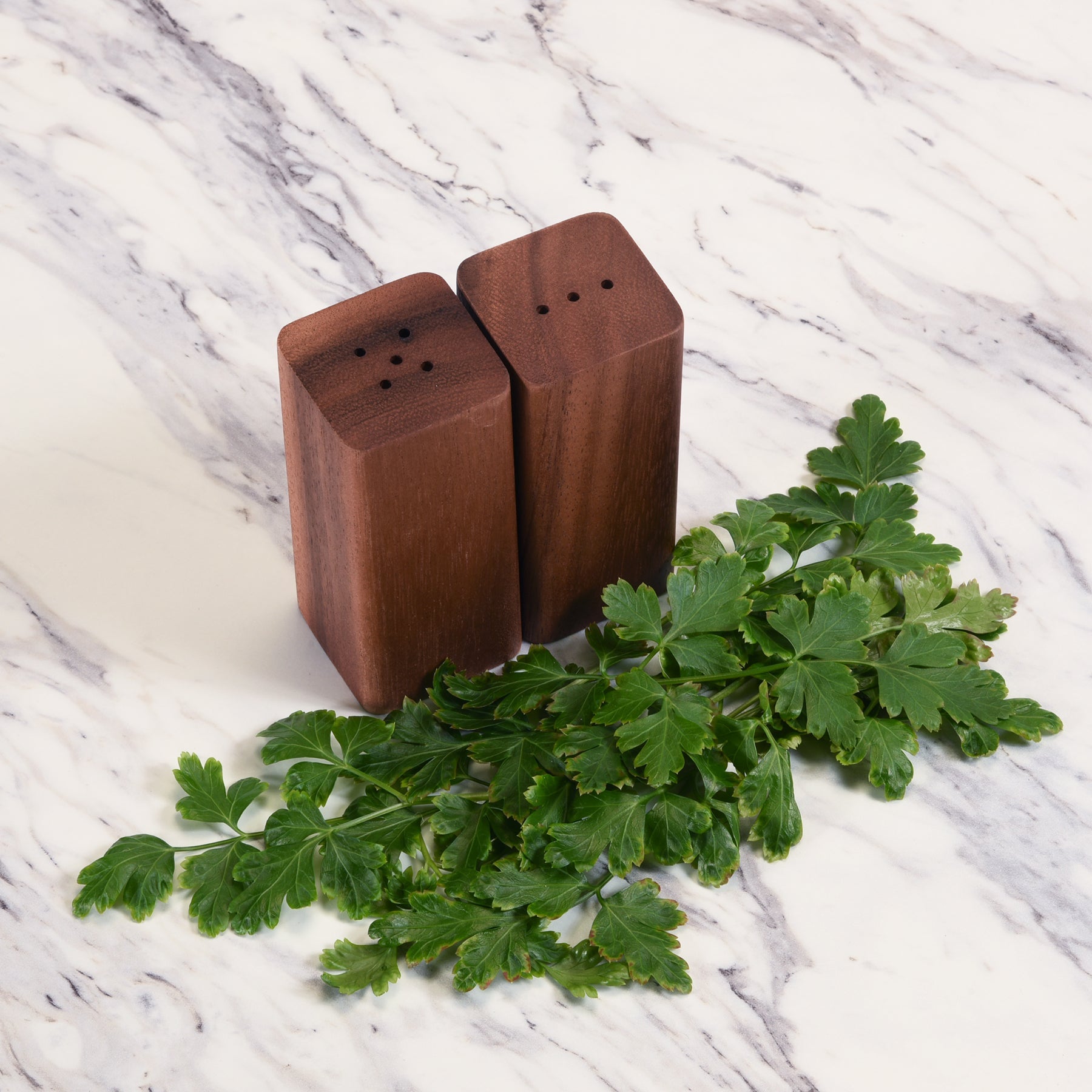 Salt & Pepper Shakers on an Acacia Wood Base - Wild Oak & Wire