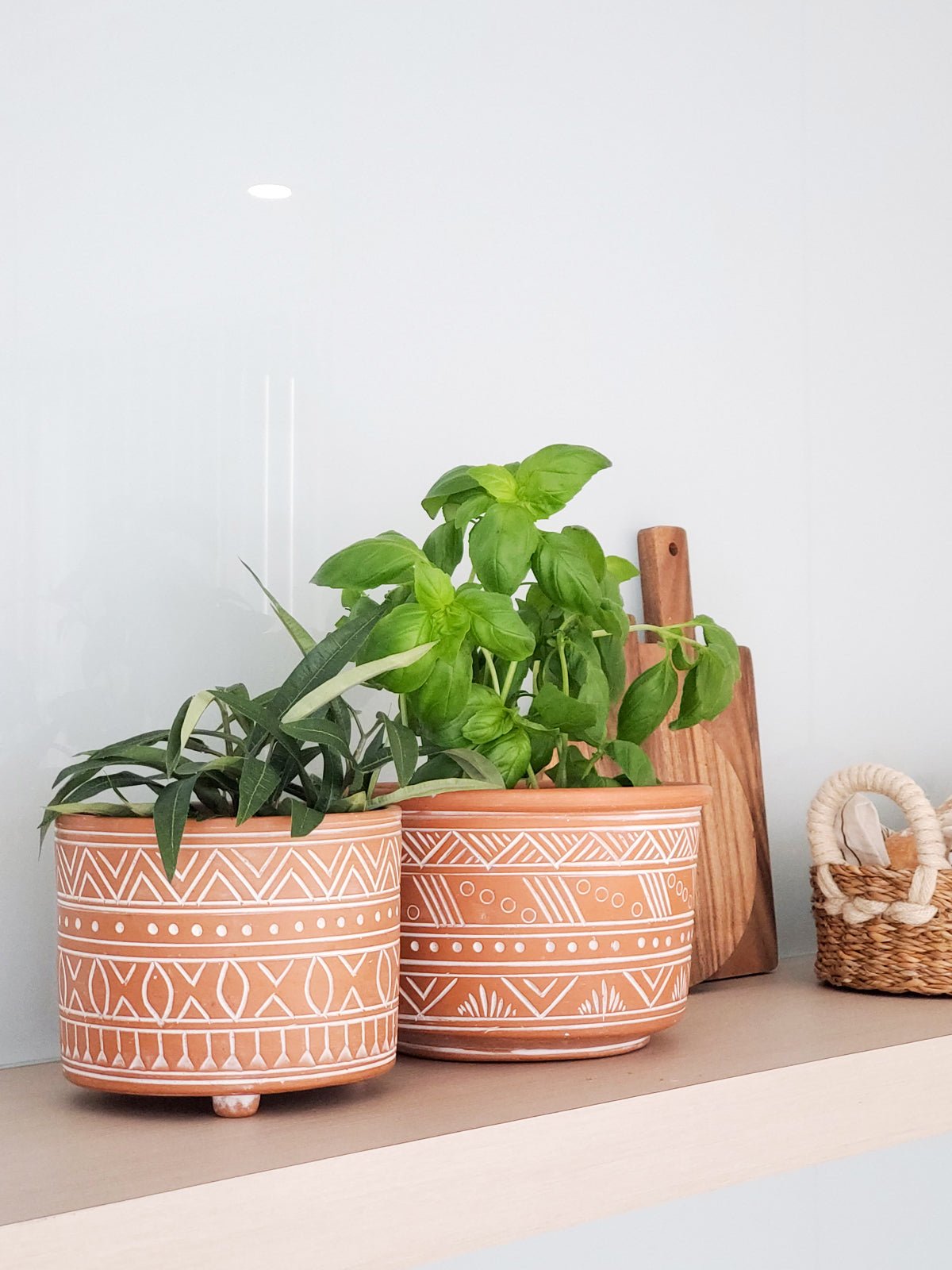 Hand Etched Terracotta Pot - Large - Wild Oak & Wire